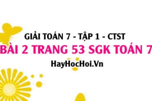 Giải bài 2 trang 53 Toán 7 Tập 1 SGK Chân trời sáng tạo: Hình hộp chữ nhật